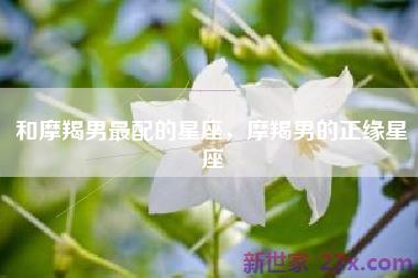 和摩羯男最配的星座，摩羯男的正缘星座