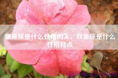 双鱼座是什么性格的人，双鱼座是什么性格特点