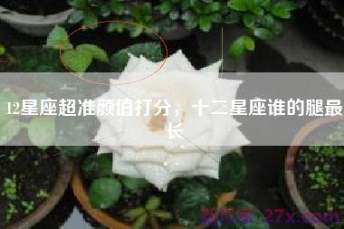 12星座超准颜值打分，十二星座谁的腿最长