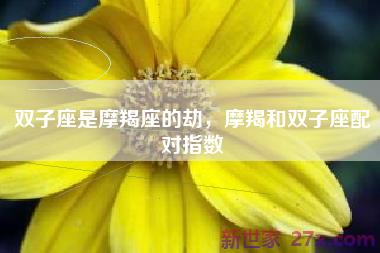 双子座是摩羯座的劫，摩羯和双子座配对指数