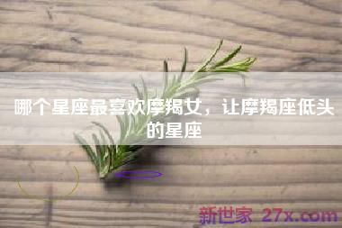哪个星座最喜欢摩羯女，让摩羯座低头的星座
