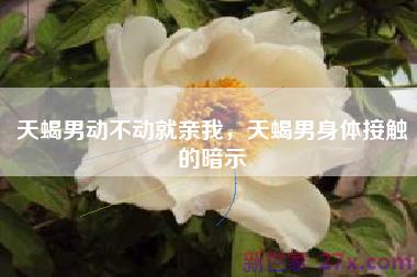 天蝎男动不动就亲我，天蝎男身体接触的暗示