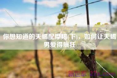 你想知道的天蝎配摩羯(下)，如何让天蝎男爱得疯狂