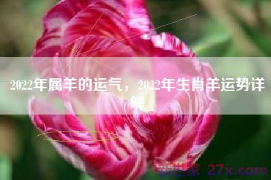 2022年属羊的运气，2022年生肖羊运势详解
