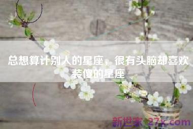 总想算计别人的星座，很有头脑却喜欢装傻的星座