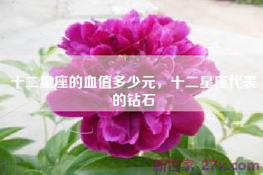 十二星座的血值多少元，十二星座代表的钻石