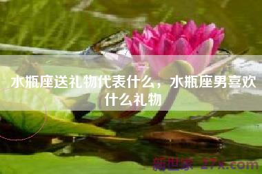 水瓶座送礼物代表什么，水瓶座男喜欢什么礼物