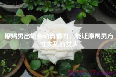 摩羯男出轨会动真情吗，能让摩羯男方寸大乱的女人