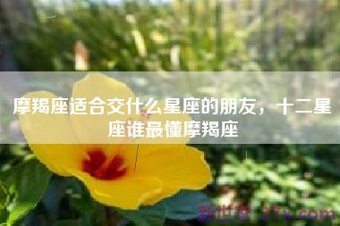 摩羯座适合交什么星座的朋友，十二星座谁最懂摩羯座