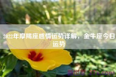 2022年摩羯座感情运势详解，金牛座今日运势
