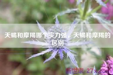 天蝎和摩羯哪个实力强，天蝎和摩羯的区别