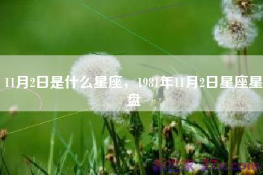 11月2日是什么星座，1981年11月2日星座星盘