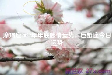 摩羯座2022年年底感情运势，巨蟹座今日运势
