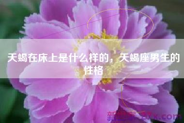 天蝎在床上是什么样的，天蝎座男生的性格