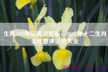 生肖2022年运势完整版，2022 年十二生肖全年整体运势大全