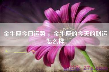 金牛座今日运势 ，金牛座的今天的财运怎么样