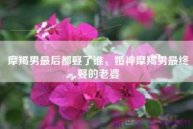 摩羯男最后都娶了谁，婚神摩羯男最终娶的老婆