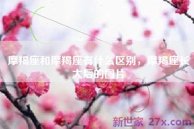 摩羯座和摩羯座有什么区别，摩羯座长大后的图片