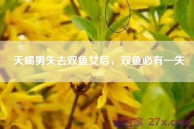 天蝎男失去双鱼女后，双鱼必有一失