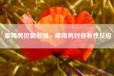 摩羯男控制欲强，摩羯男对你有性反应