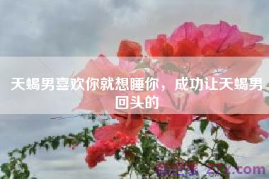 天蝎男喜欢你就想睡你，成功让天蝎男回头的
