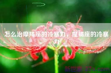 怎么治摩羯座的冷暴力，魔蝎座的冷暴力