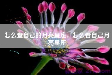 怎么查自己的月亮星座，怎么看自己月亮星座