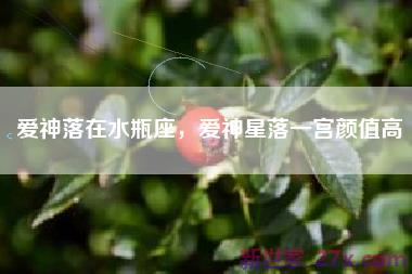 爱神落在水瓶座，爱神星落一宫颜值高