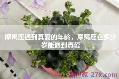 摩羯座遇到真爱的年龄，摩羯座在多少岁能遇到真爱