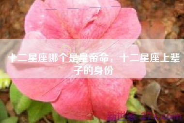 十二星座哪个是皇帝命，十二星座上辈子的身份