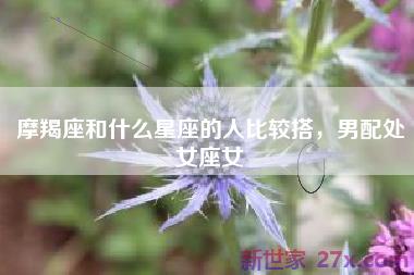 摩羯座和什么星座的人比较搭，男配处女座女