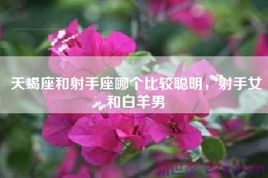 天蝎座和射手座哪个比较聪明，射手女和白羊男