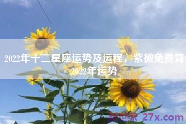 2022年十二星座运势及运程，紫微免费算2022年运势