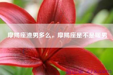 摩羯座渣男多么，摩羯座是不是暖男