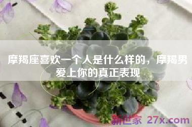 摩羯座喜欢一个人是什么样的，摩羯男爱上你的真正表现