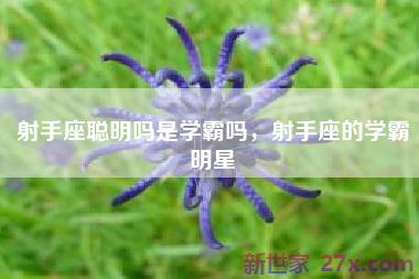 射手座聪明吗是学霸吗，射手座的学霸明星
