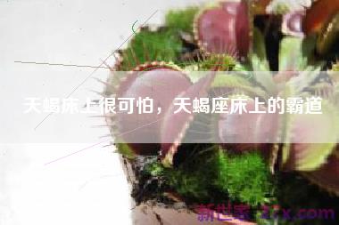 天蝎床上很可怕，天蝎座床上的霸道