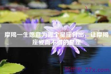 摩羯一生愿意为哪个星座付出，让摩羯座爱而不得的星座