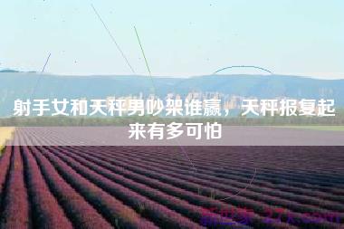 射手女和天秤男吵架谁赢，天秤报复起来有多可怕