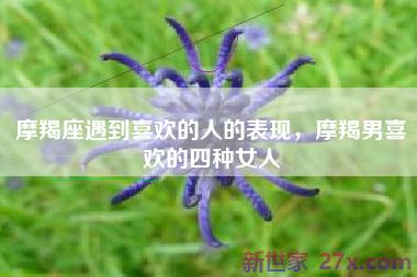 摩羯座遇到喜欢的人的表现，摩羯男喜欢的四种女人