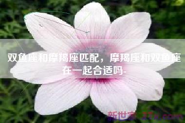 双鱼座和摩羯座匹配，摩羯座和双鱼座在一起合适吗-