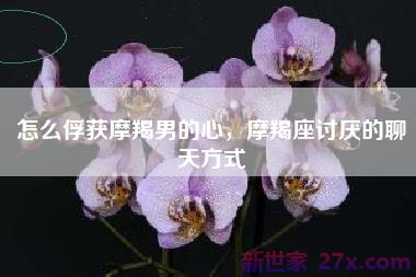 怎么俘获摩羯男的心，摩羯座讨厌的聊天方式