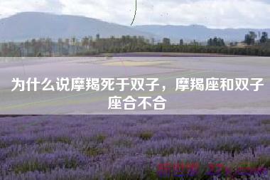 为什么说摩羯死于双子，摩羯座和双子座合不合