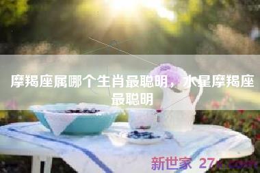 摩羯座属哪个生肖最聪明，水星摩羯座最聪明