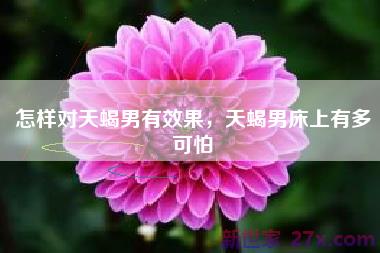 怎样对天蝎男有效果，天蝎男床上有多可怕