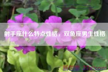 射手座什么特点性格，双鱼座男生性格