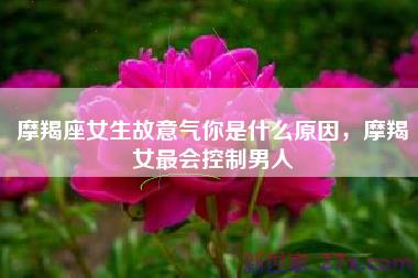 摩羯座女生故意气你是什么原因，摩羯女最会控制男人