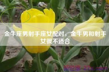 金牛座男射手座女配对，金牛男和射手女很不适合