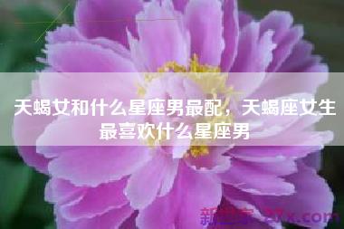 天蝎女和什么星座男最配，天蝎座女生最喜欢什么星座男