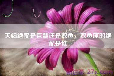 天蝎绝配是巨蟹还是双鱼，双鱼座的绝配是谁
